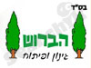  הברוש פיתוח גינות  