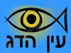 עין הדג 