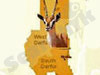 B`nai Darfur 