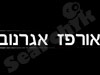 אורפז אגרנוב 