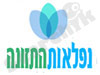 נפלאות התזונה