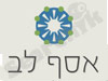 אסף לב 