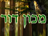 מכון דור