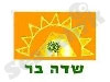 שדה בר 