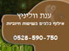 ענת אילוף כלבים