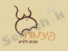 פעימות - הבית להיריון 