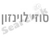 סוזי לוינזון צלמת