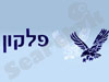 פלקון שרותי אבטחה