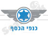 כנפי הכסף