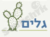 גלים - טיולים וסמינרים