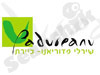 שירלי פדוריאנו