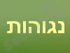 נגוהות ישוב צעיר ומתפתח