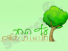 עץ המחר