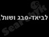 מורן לביאד-סבג, עורכת דין 