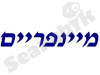 מיינפריים סיסטמס
