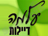 עלמה דיילות