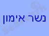 נשר אימון 