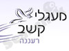 מעגלי קשב 