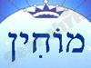 מוחין 