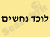 אביעד בר