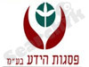 פסגות הידע בע