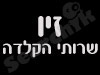 זיו שרותי הקלדה