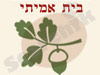 בית אמיתי  