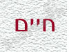 חיים גז  