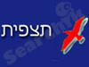 תצפית
