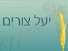 יעל צורים - תזונאית קלינית 