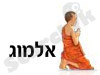 פרסום אלמוג 