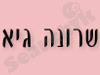 שרונה גיא   