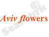 Aviv flowers  