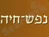 מרכז נפש חיה  
