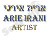 אריה אירני    