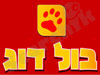 בול דוג
