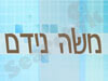 משה נידם
