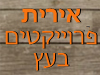 אירית פרויקטים בעץ