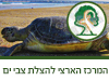המרכז הארצי להצלת צבי ים