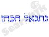 נתנאל הכהן