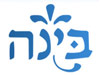 בינה 