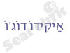 אַיקִידוֹ דוֹג'וֹ און-ליין