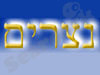 נצרים