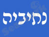 נתיביה 