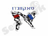 טקוואנדו 