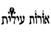 גרעין אורות עילית 