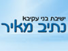 ישיבת בני עקיבא נתיב מאיר