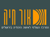 אור חיה 