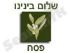 שלום בינינו -פסח