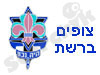 צופים ברשת 